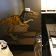 Illustration for article titled Behold, a Real Hotel Staffed By Talking Androids and Robotic Dinosaurs